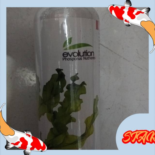 Jual Aquarium Aquascape Pupuk Cair Tanaman Evolution Phosporus Ml