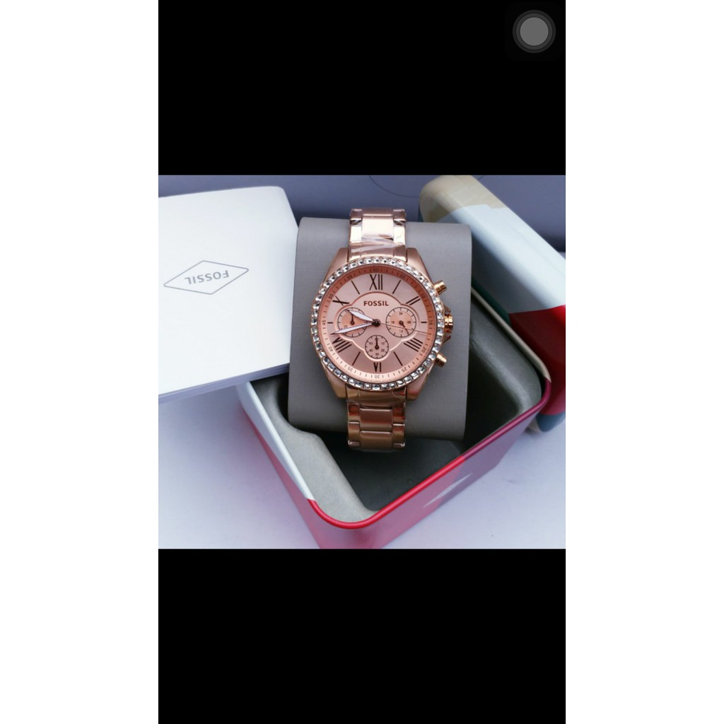 Bq1774 fossil 2024