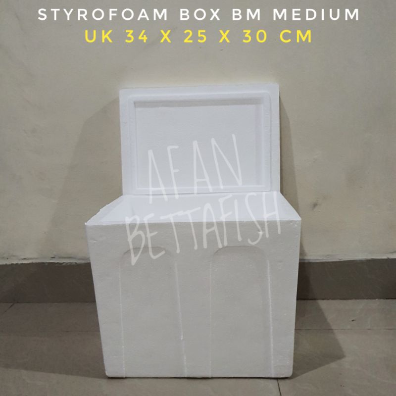 Jual Styrofoam Box Bm Medium Uk X X Cm Sterefoam Bm Medium Shopee Indonesia