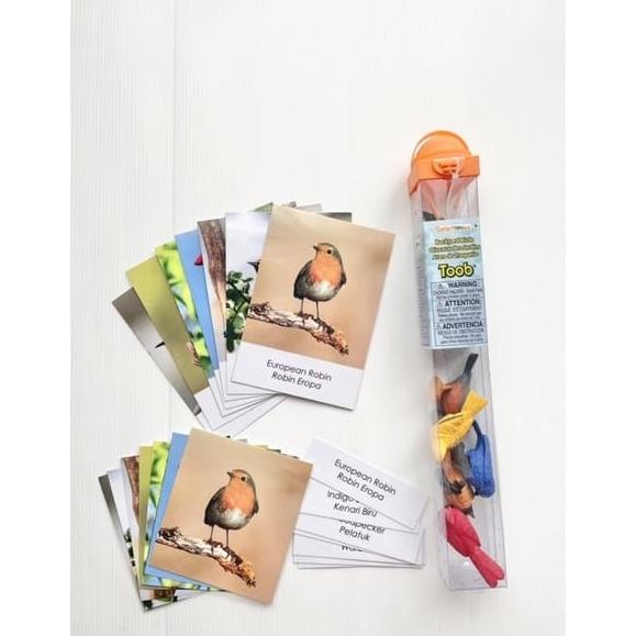 Jual Safari Ltd Toobs Backyard Birds barang ready | Shopee Indonesia