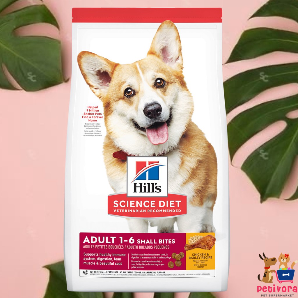 Makanan Anjing Science Diet Corgi Royal Canin Corgi Food Shop