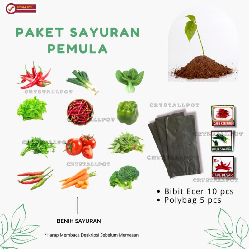 Jual BENIH BIBIT PAKET SAYURAN PEMULA ISI 10 BIBIT - PAKET SAYURAN ...