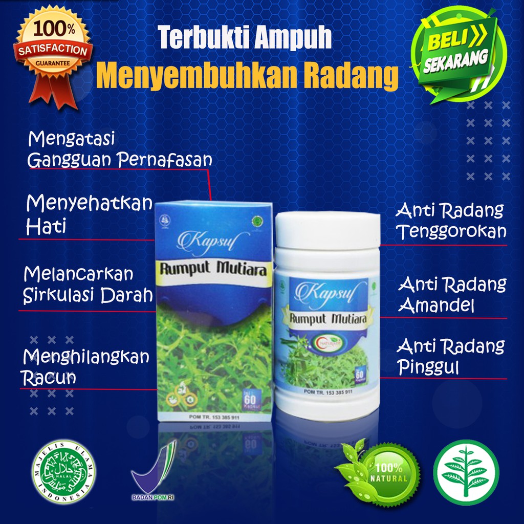 Jual Obat Herbal Radang Tenggorokan Amandel Pinggul Rumput Mutiara