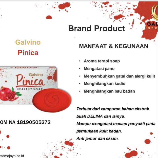 Jual Pinica | Shopee Indonesia