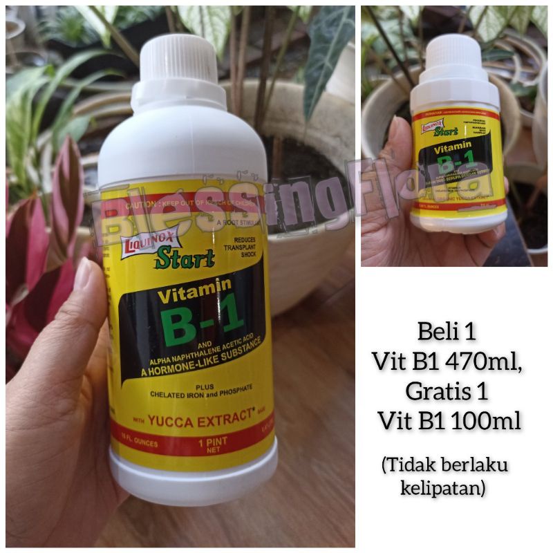 Jual Vitamin B1 Tanaman Liquinox 470 Ml (BELI 1, GRATIS 1 B1 100ML ...