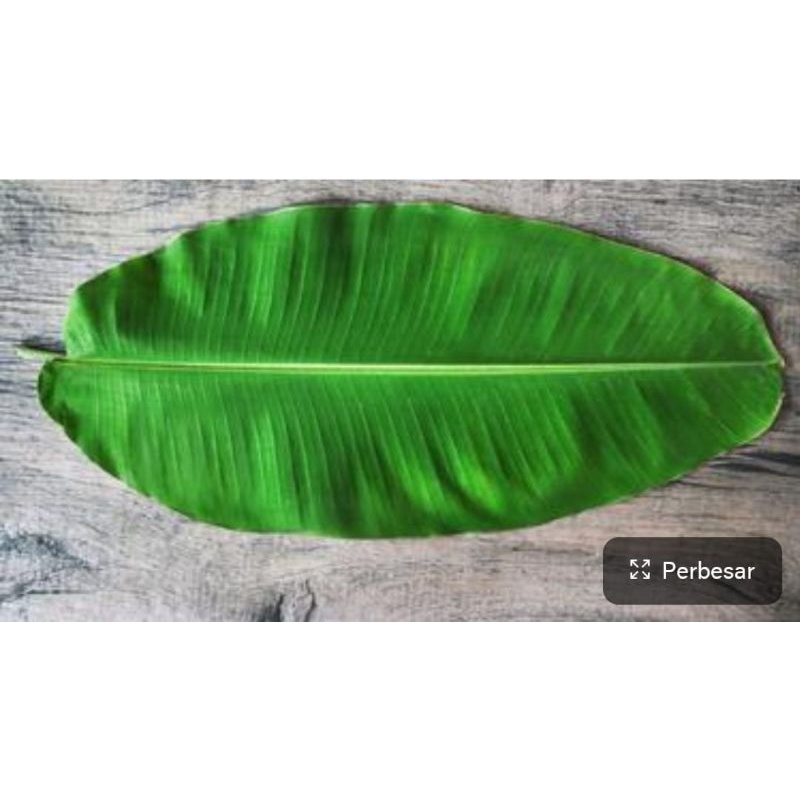 Jual Daun Pisang Per Lembar Lembaran Segar Pasar Sayur Shopee Indonesia