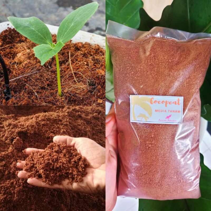 Jual PREMIUM ! MEDIA TANAM COCOPEAT / COCOPIT SABUT KELAPA MURNI ...