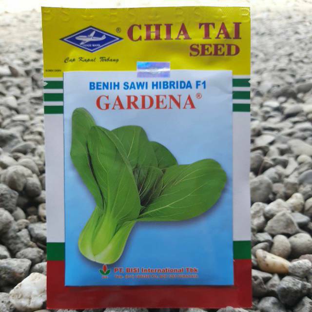 Jual Pakchoy Hibrida Benih Bibit Biji Pakchoy Gardena 15 Gram