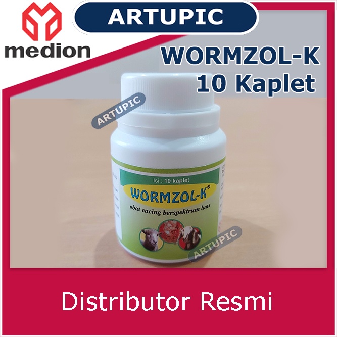 Jual Wormzol Kaplet Isi 10 Kaplet Obat Cacing Hewan Wormzol-K Medion ...