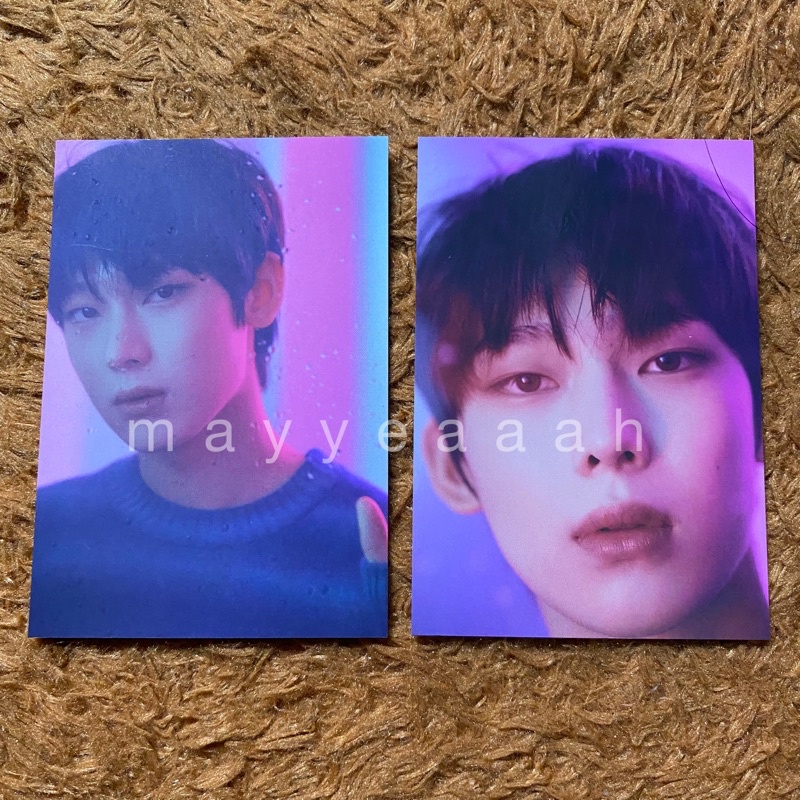Jual enhypen sunoo hybe insight pc set | Shopee Indonesia