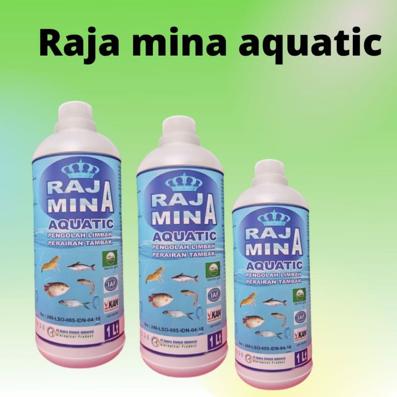 Jual Probiotik Tambak Ikan Nila Raja Mina Aquatic Pengolah Limbah