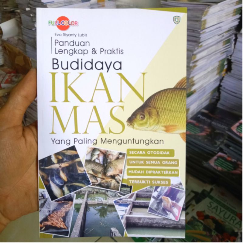 Jual Panduan Lengkap Budidaya Ikan Mas Yang Paling Menguntungkan ...