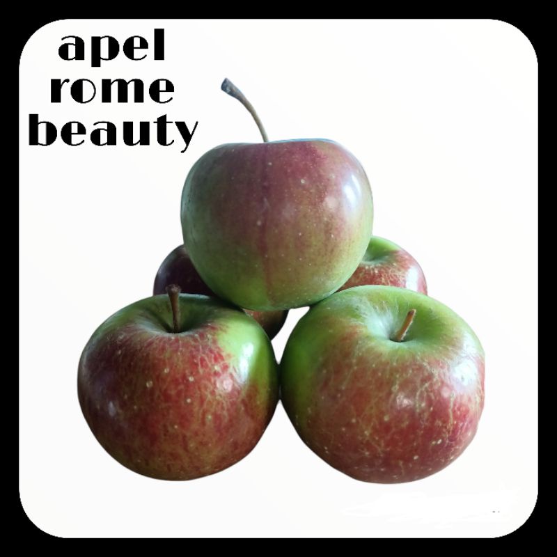 Jual Apel rome beauty (apel khas malang) 1kg | Shopee Indonesia