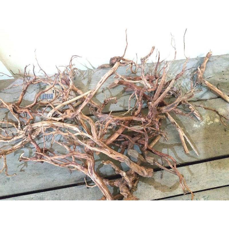 Jual Akar Kayu Rasamala (ukuran S) | Shopee Indonesia