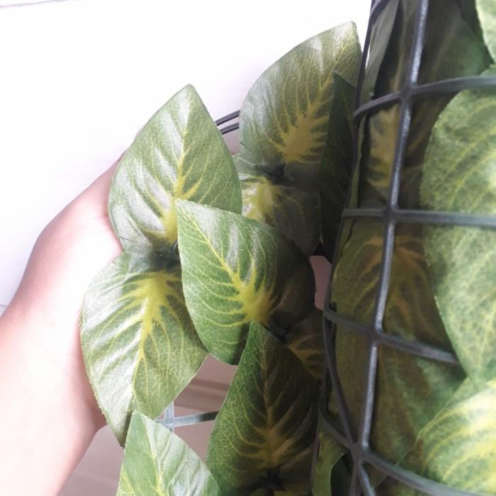 Jual Daun rambat Roll an/gulung 3m x 1m | Shopee Indonesia
