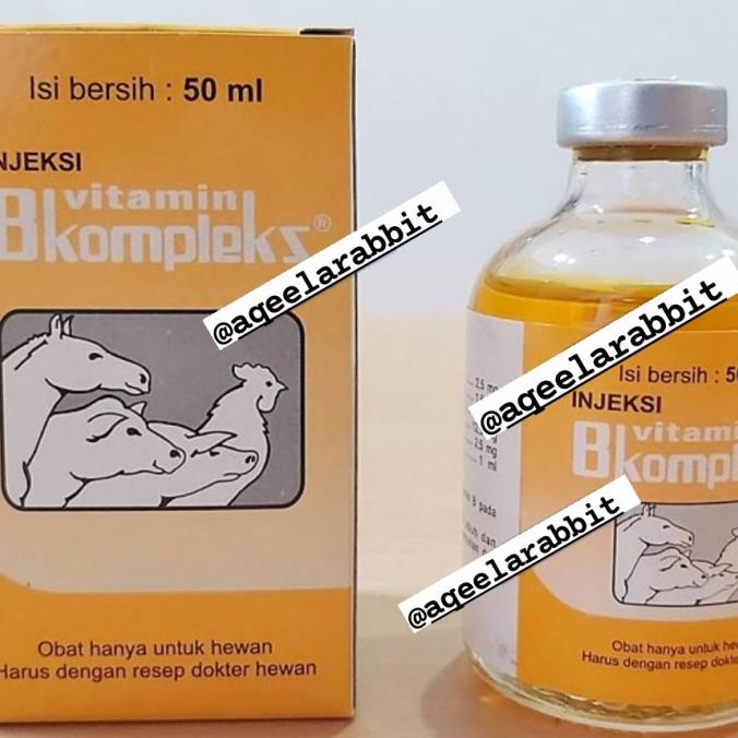 Jual Vitamin B Kompleks 20 Ml Injeksi Hewan | Shopee Indonesia