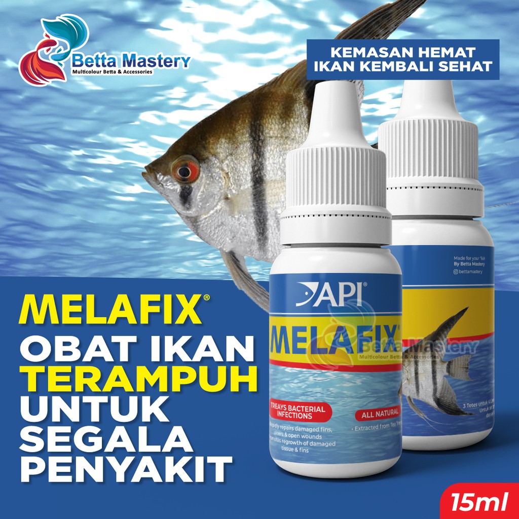 Jual Ampuh Api Melafix Original Obat Ikan Hias Cupang Guppy Koi Dan Ikan Hias Tropis Lainnya