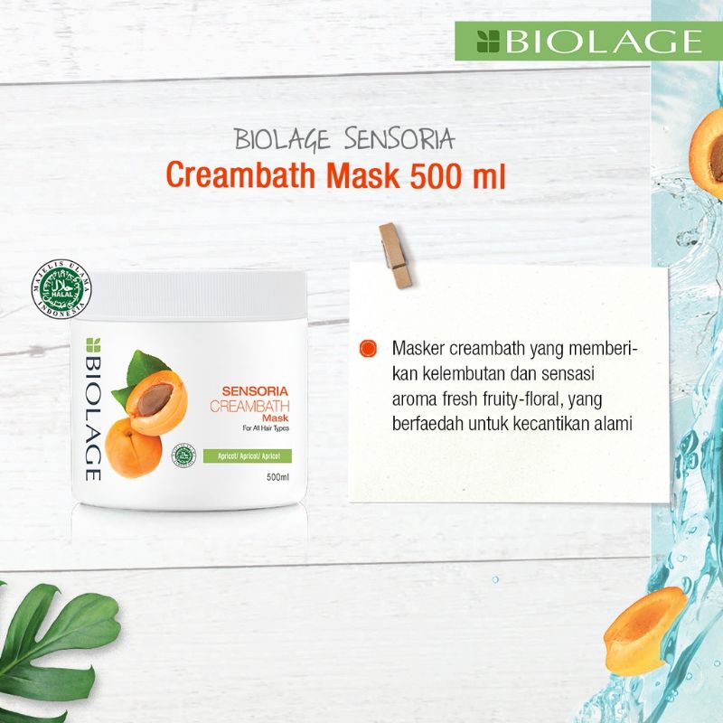 Jual MATRIX Biolage Hair Mask 490 mL Smoothproof Colorlast