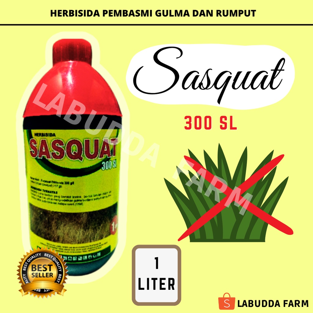 Jual Herbisida Kontak - Herbisida Rumput - Herbisida Sasquat 300SL ...