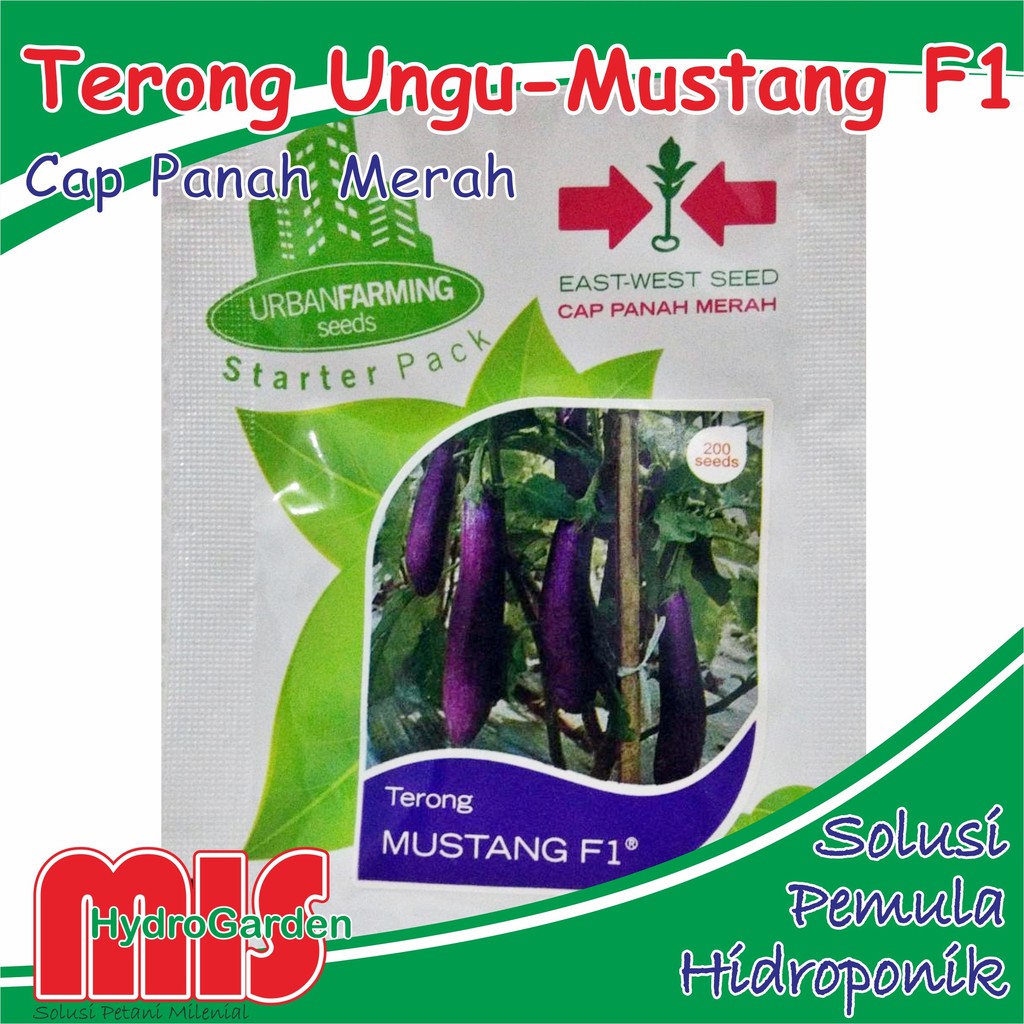 Jual Benih Terong Ungu Mustang Biji Cpm Bibit Sayur Hidroponik