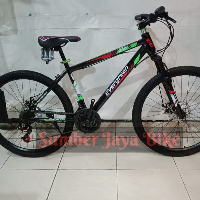 Evergreen eg cheap 225 sepeda mtb