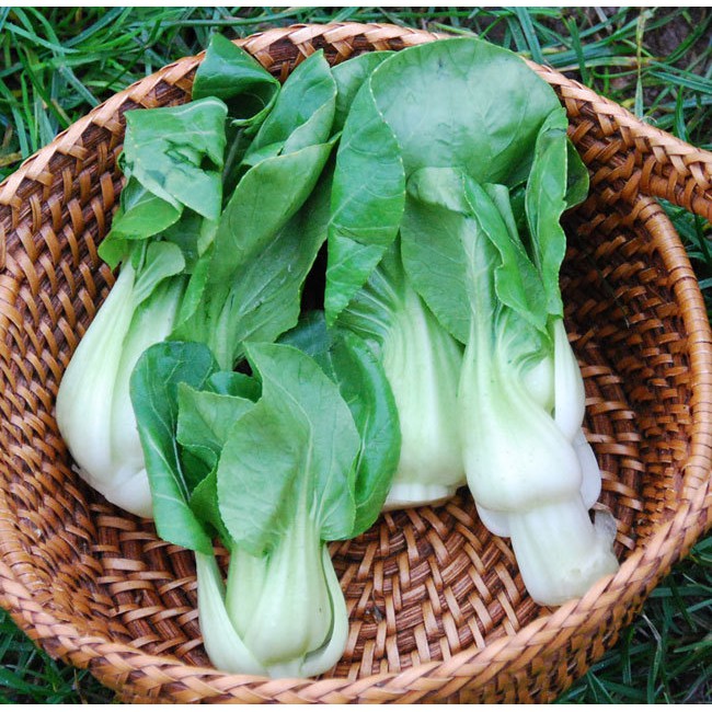Jual 100 benih Pak Choy putih Ching Chiang F1 bibit SAWI SENDOK ...