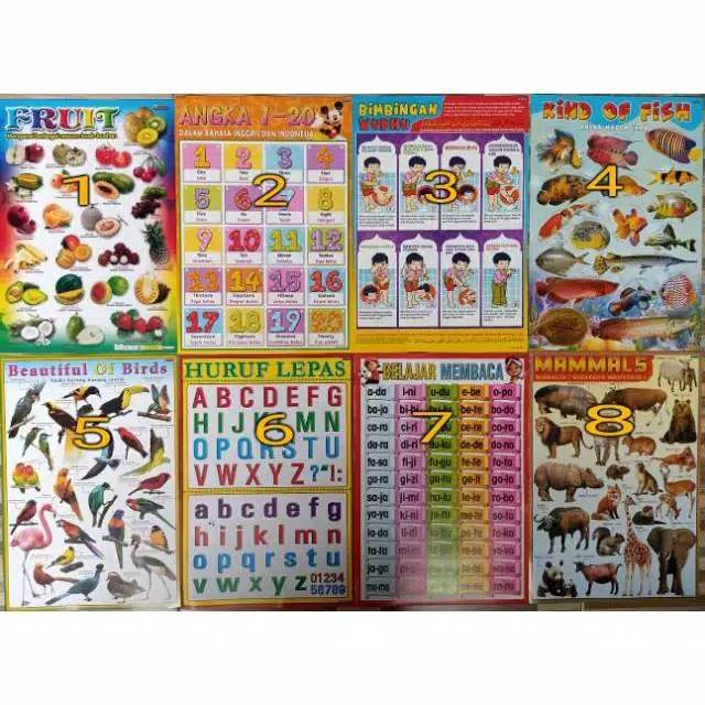 Jual Poster EDUKASI ANAK | Shopee Indonesia