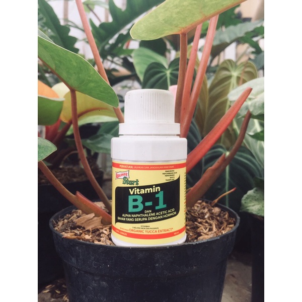 Jual Vitamin B1 Tanaman | Shopee Indonesia