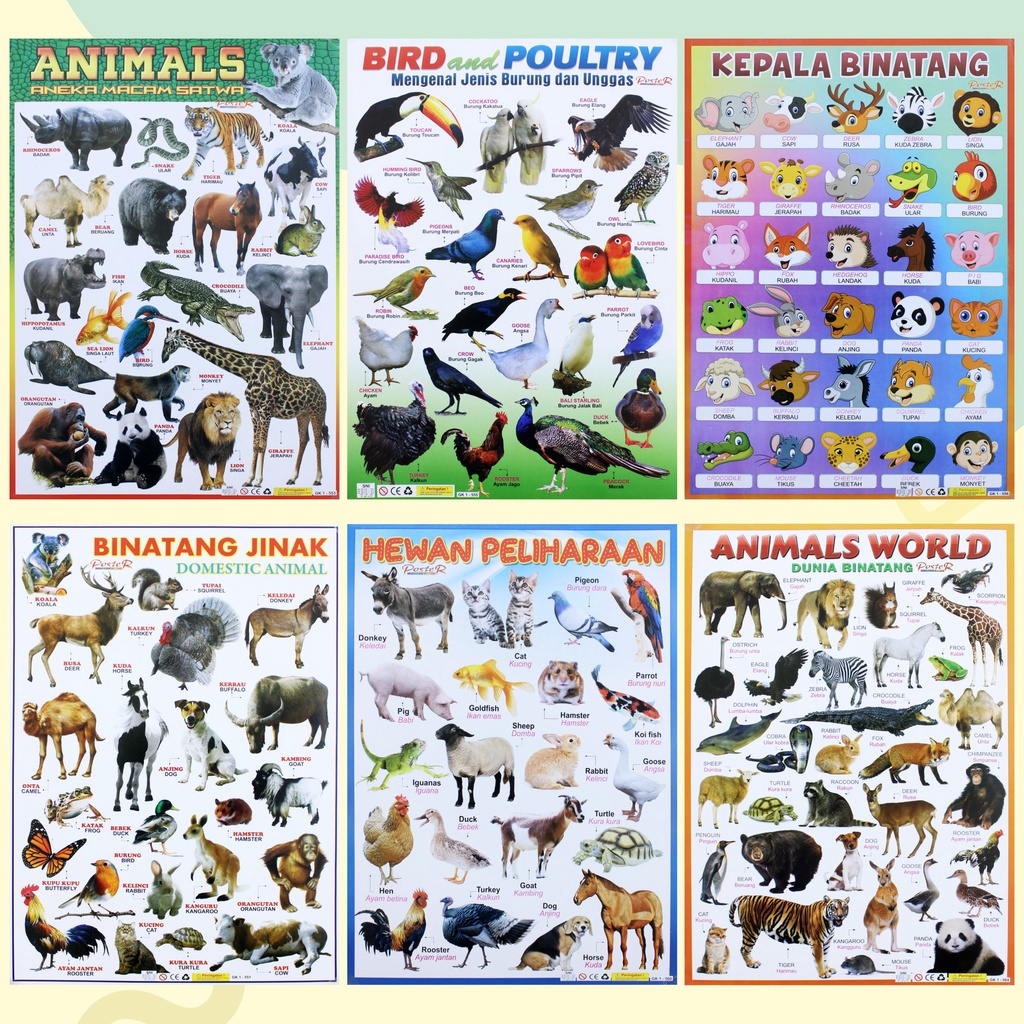 Jual Poster Edukasi Anak / Gambar Edukasi Anak / Poster Belajar Anak