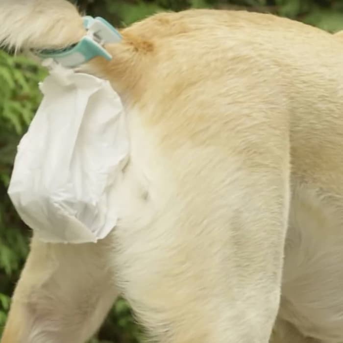 Jual Plastik Poop Travel Tempat Poop Anjing Plastik Poop Anjing Piq A ...