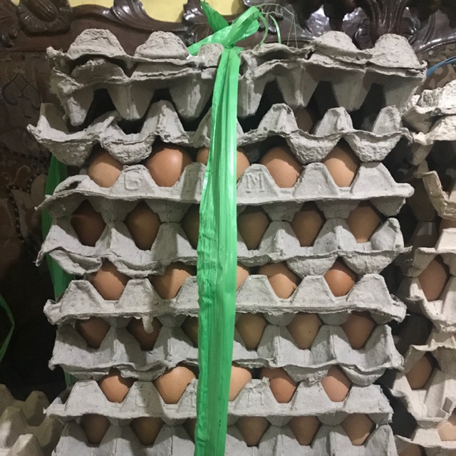 Jual Telur ayam ras | Shopee Indonesia
