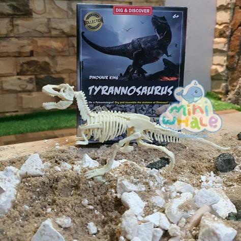 Jual MAINAN ANAK / MAINAN TERBARU ANAK DINOSAUR DIG KIT EXCAVATION ...