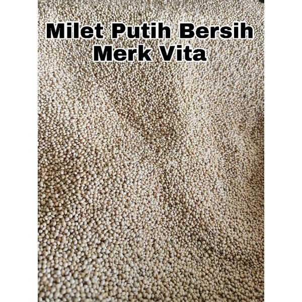 Jual Milet Putih Vita Kg Pakan Burung Pemakan Biji Bijian Shopee Indonesia