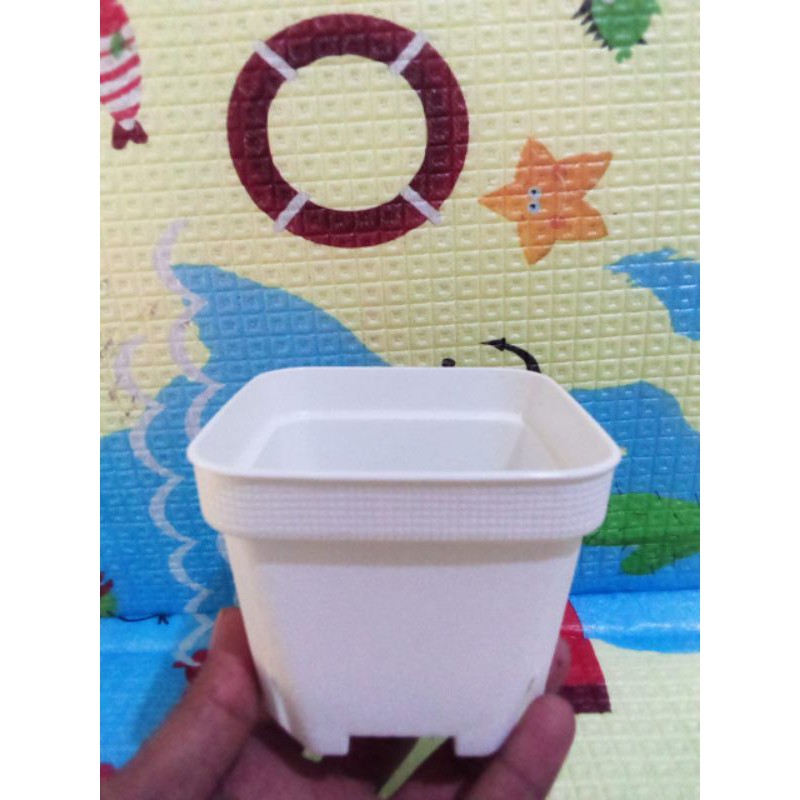 Jual POT KOTAK BESAR SOFI L 10CM PUTIH TEBAL POT KAKTUS MIRIP JUOS JUOSS MINI POT SOFI PUTIH 10