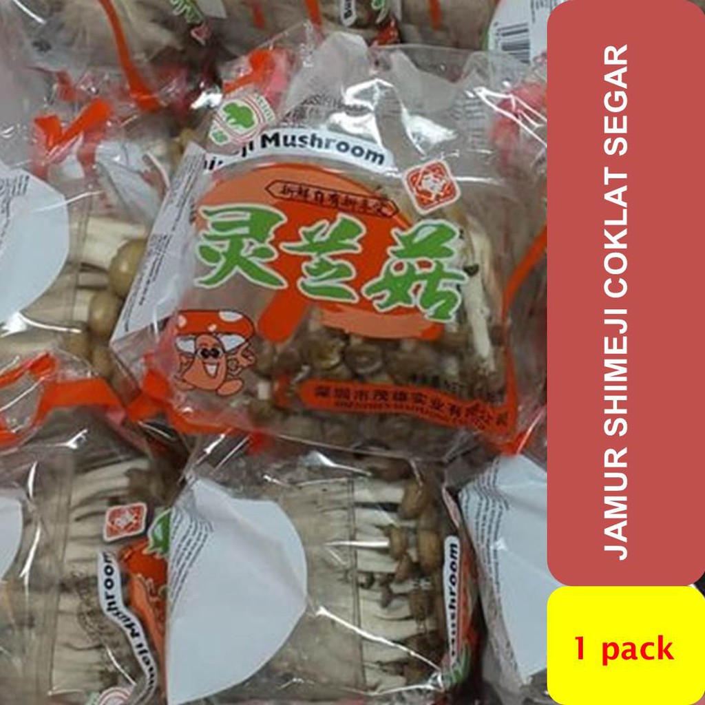 Jual Jamur Shimeji Coklat Segar Per Pack Shopee Indonesia