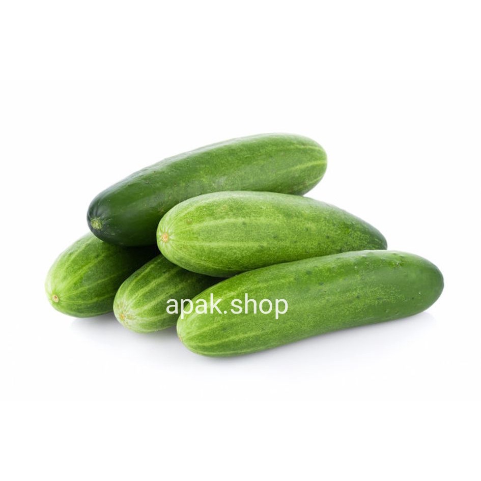 Jual Timun / Mentimun Segar | Shopee Indonesia