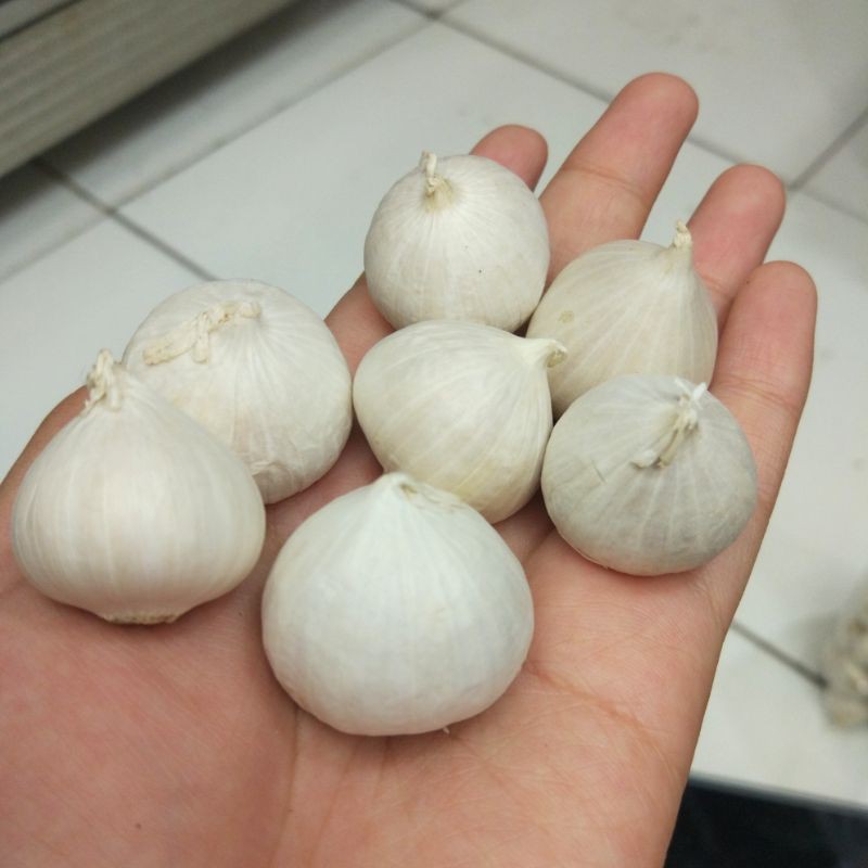 Jual Bawang Putih Tunggal Lanang 1kg Shopee Indonesia