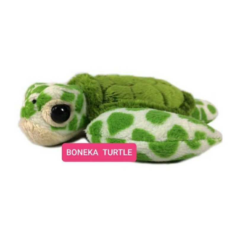 Jual Boneka Turtle Stuffed Plush Doll | Shopee Indonesia