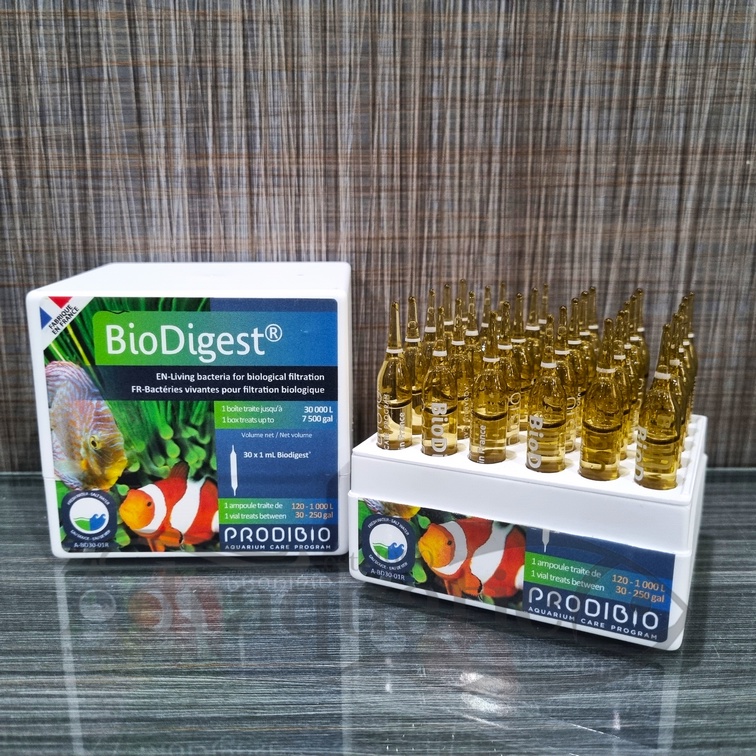 Jual PRODIBIO BIODIGEST 1 VIAL AMPUL BAKTERI STARTER AQUARIUM AIR TAWAR ...