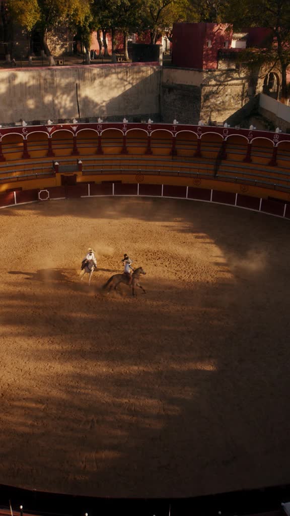 DJI RS 4 Mini Gimbal