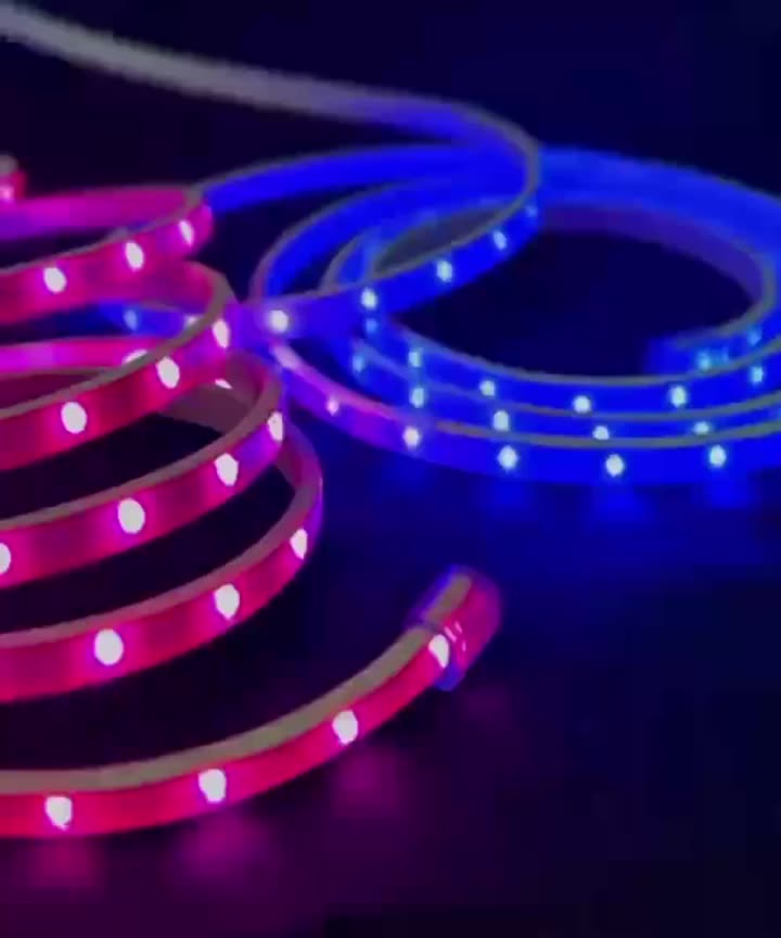 Jual LAMPU LED STRIP SELANG SMD 5050 100M 100 METER / LAMPU PLAFON ...