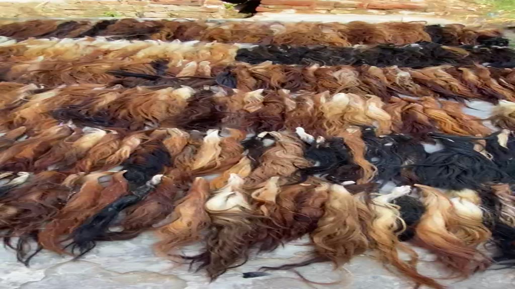 Jual BACA DESKRIPSI Rambut Ekor/Gubat/Buntut Sapi Kering Superan tanpa ...