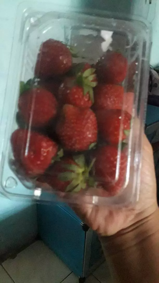 Jual Strawberry Blitar