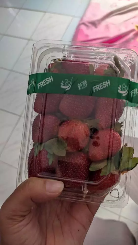 Fresh Strawberry Blitar