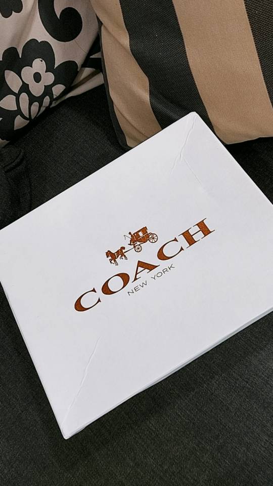 Sunny Beauty - 🥰Coach Pennie Shoulder Bag 25 In Signature