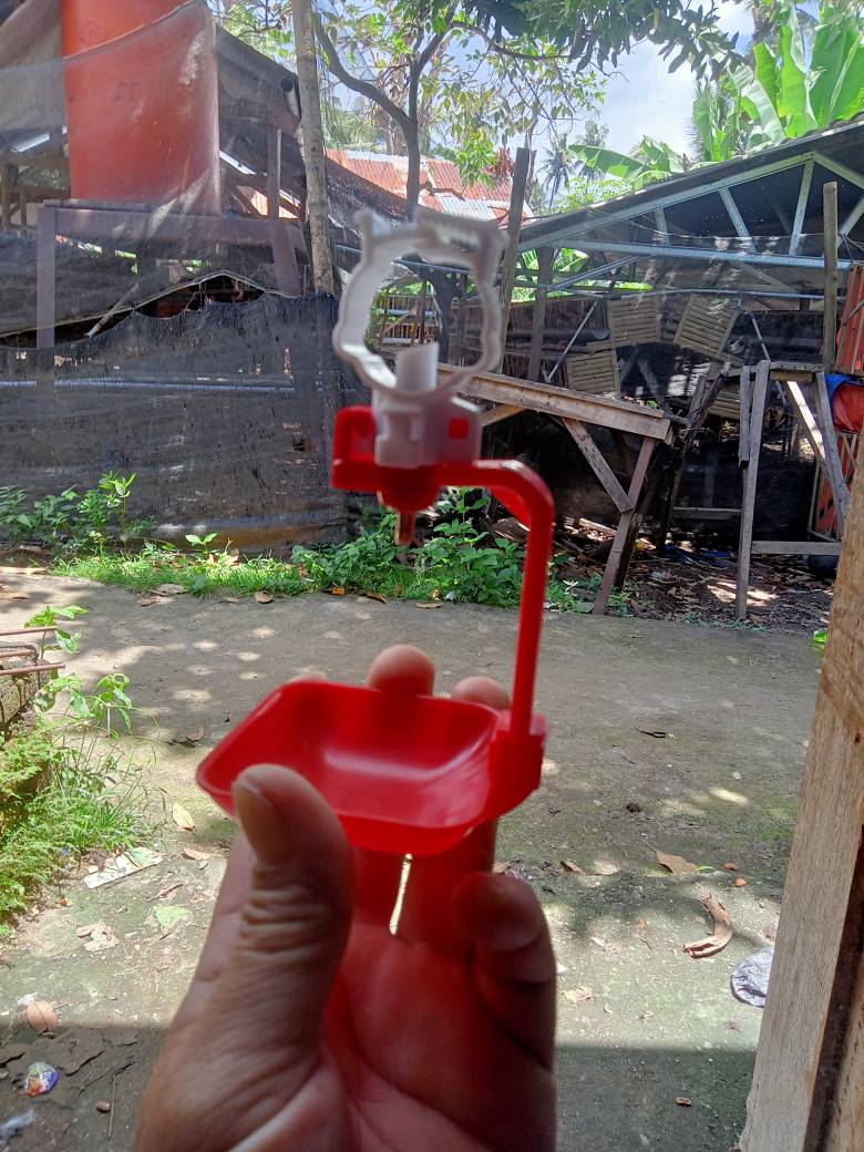 Pengepul Bambu Bangunan di Surabaya