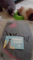 Foto dari pembeli