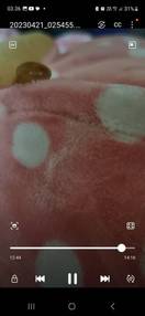 Foto dari pembeli