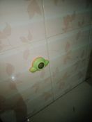 Foto dari pembeli