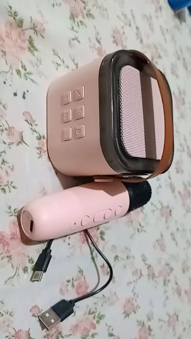Sepasang Mikrofon Nirkabel Mini DGC dengan Fitur Efek Vokal Ajaib